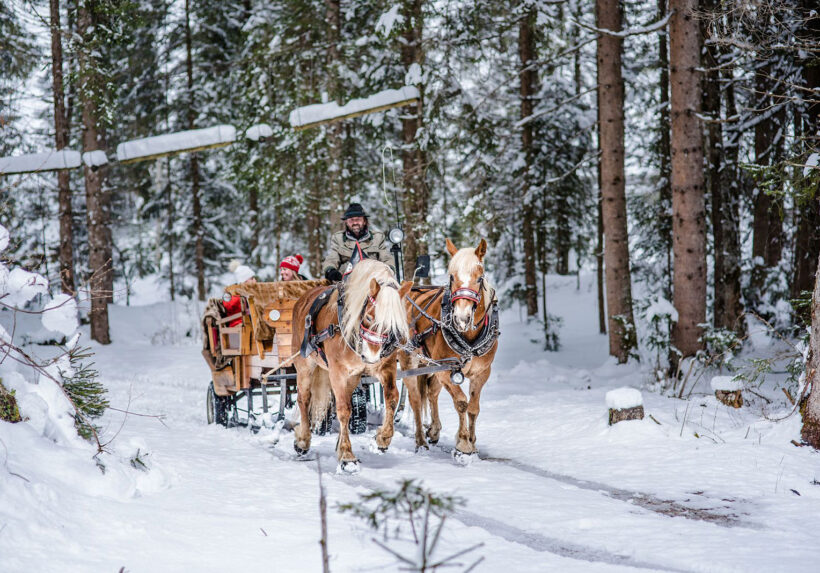 Pferdeschlittenfahrten - Winterurlaub in Altenmarkt-Zauchensee